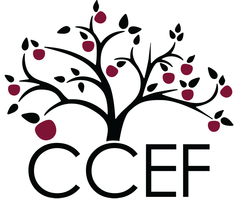 Cherokee County Educational Foundation